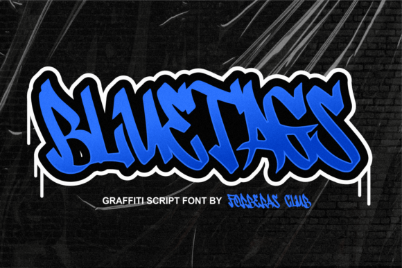Choosing a Display Font: How Bluetags Refined My Web Project
