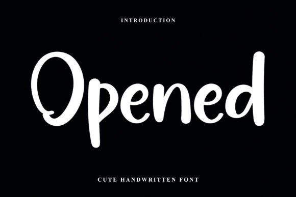 How the Opened Font Elevated My Small Business Brand
