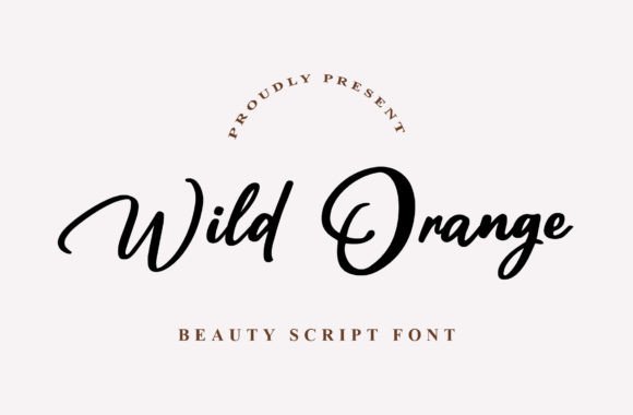 Wild Orange: A Strategic Font for Modern Campaigns